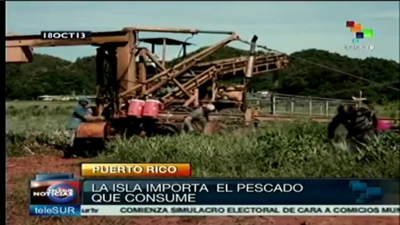 Pretende Puerto Rico aumentar producción alimentaria