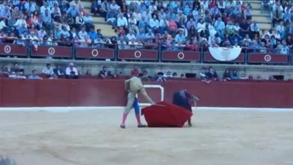 Espartinas 19 oct 2013 Javier Jiménez