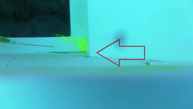 Fuite piscine skimmer