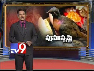 Extinct giant animals to be reborn!