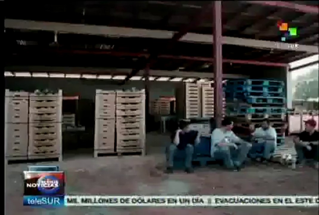 Pretende Puerto Rico aumentar producción alimentaria