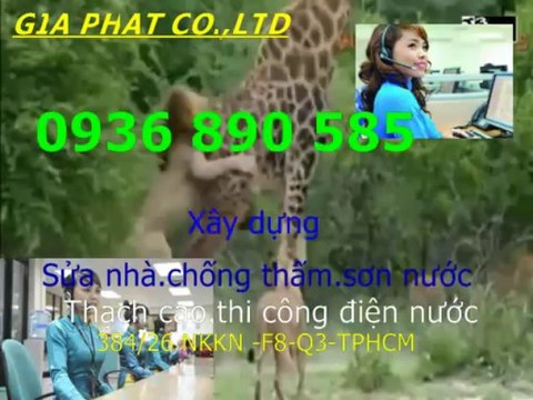 Chuyen sua ong nuoc o tai quan 3 tphcm/,.(0907 323053)
