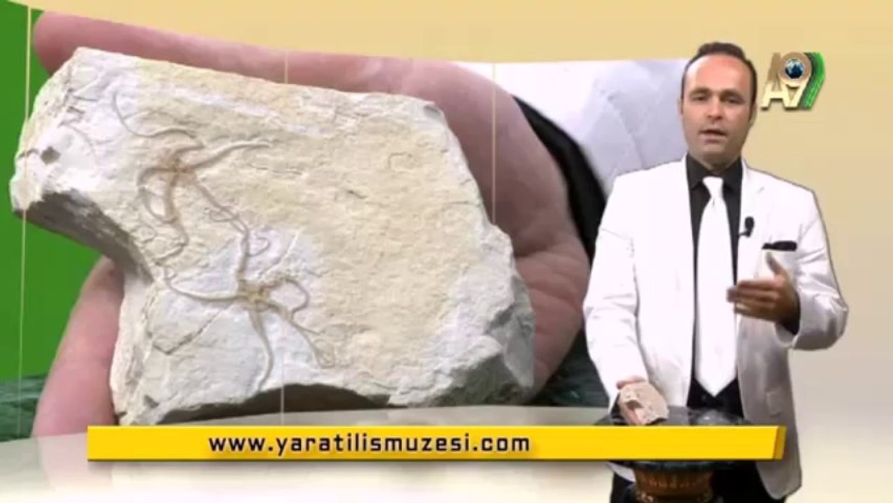 Fosiller, Evrim yok diyor! 10- Yılan yıldızı fosili