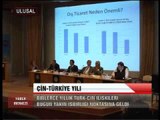 ÇİN   TÜRKİYE YILI