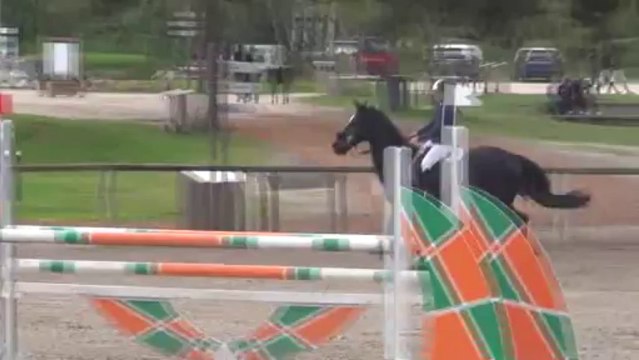 Fontainebleau 10/2013 : Rubis et Orphée