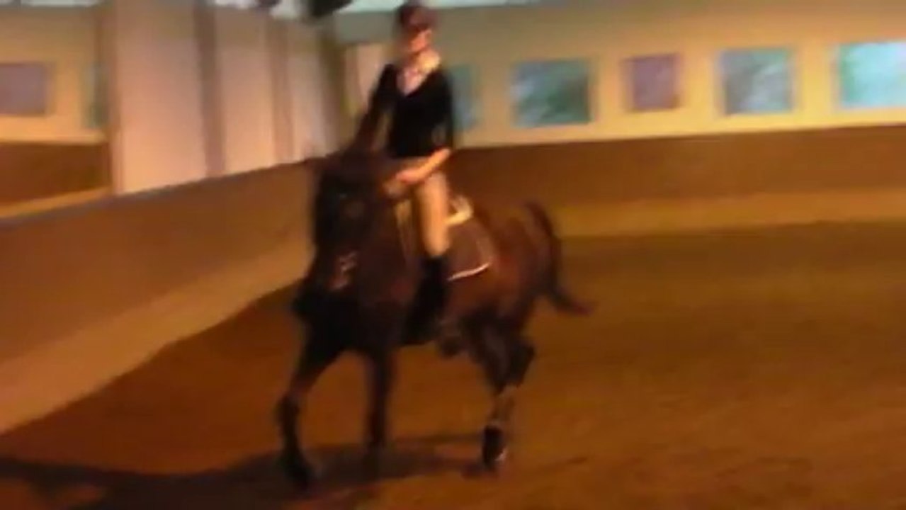 Stage de dressage avec Pierre Beaupère - Partie 2 - 20.10.2013