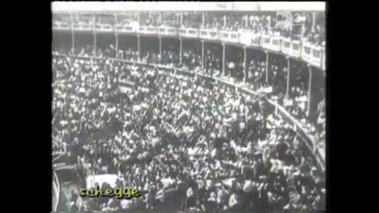 Schegge - Tori, nella terra di Don Chisciotte