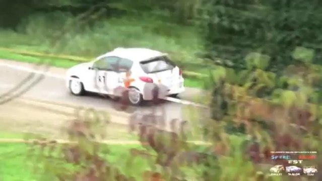 Rallye de la Haute Saône 2013 - Best of - Equipage Darbonnat/Elet