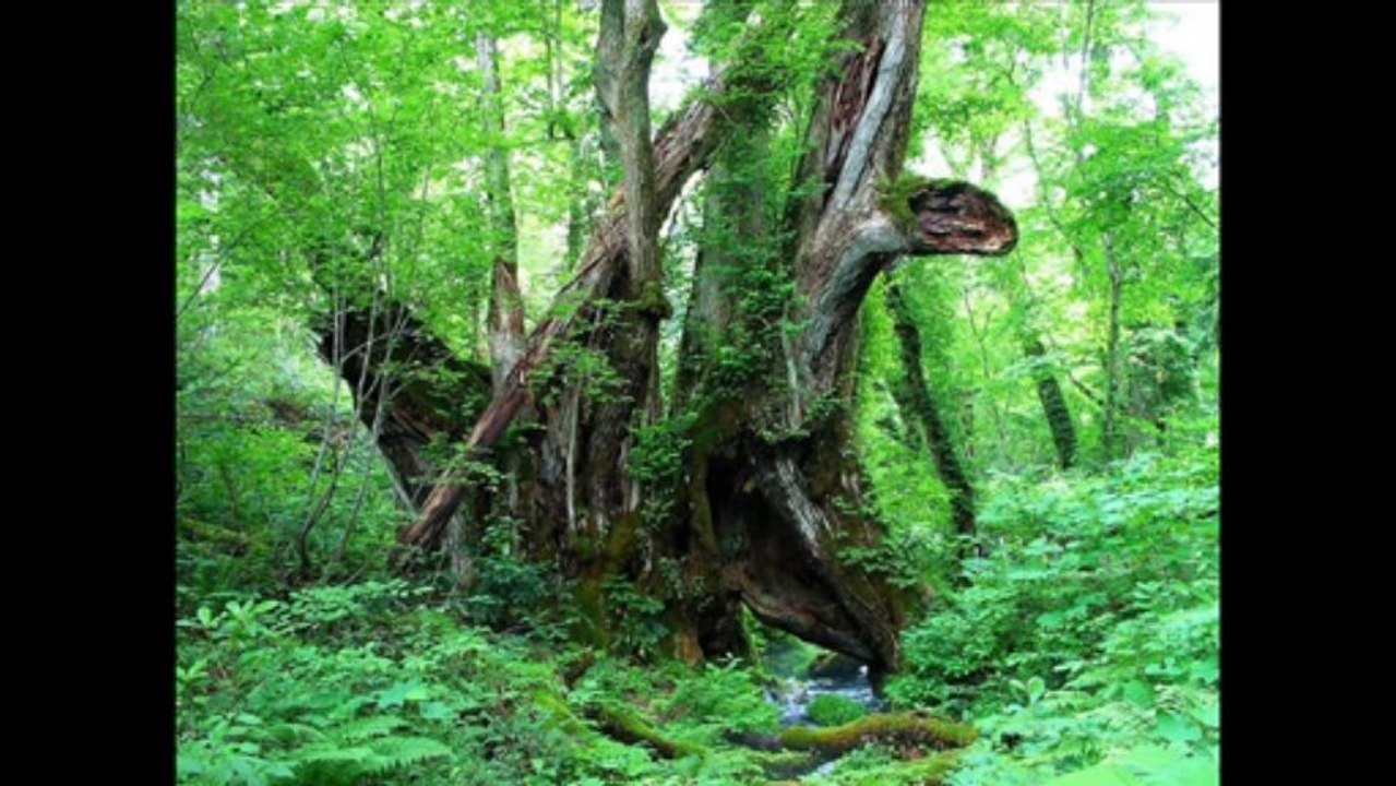 1 SAMUEL CAP 13 - A BIBLIA NA LINGUAGEM DE HOJE