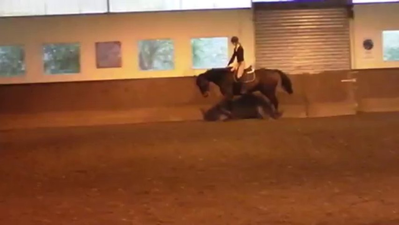 Stage de dressage avec Pierre Beaupère - Partie 3 - 20.10.2013