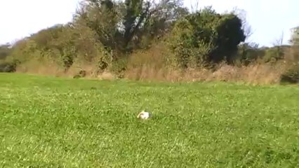 Itou au travail 4,5 mois