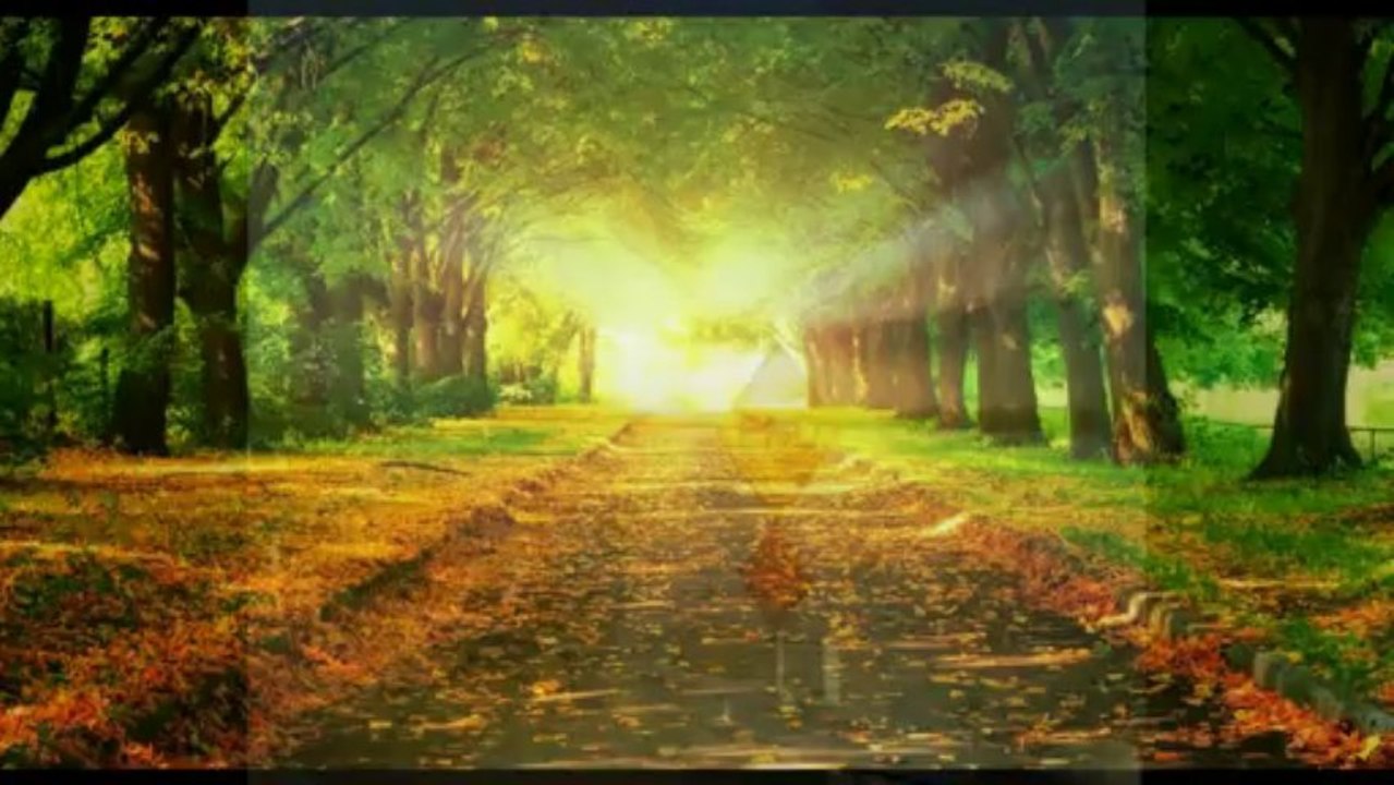 The Isaacs - Stand Still