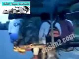 اقوى وسائل النقل فى الفلبين ها ها ها !!