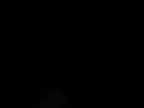 badr luth zooo gennevilliers