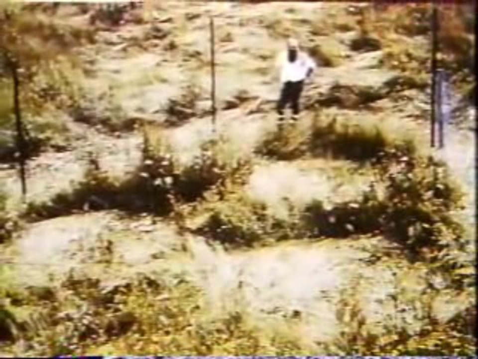 Author Gary Kinder On Billy Meier UFO Case [Video]