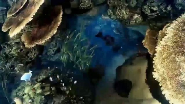 Call of Duty : Ghosts (PS3) - Trailer de lancement (leaké)