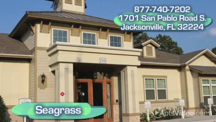 Seagrass Apartments in Jacksonville, FL - ForRent.com