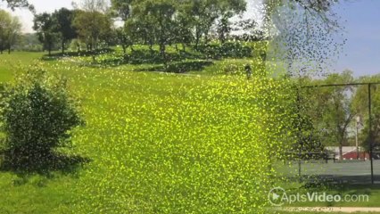 Lake View Residences on the Park Apartments in Aurora, IL - ForRent.com