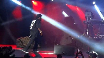 Ice Cube "Natural Born Killaz" Live @ "How the West Was Won", Verizon Wireless Amphitheater, Irvine, CA, 10-12-2013 Pt.1