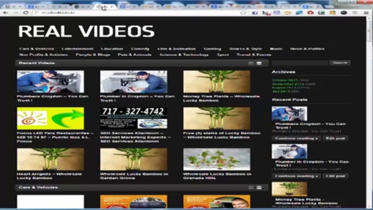 How to find awesome expired domain with PageRank how to find expiring domains