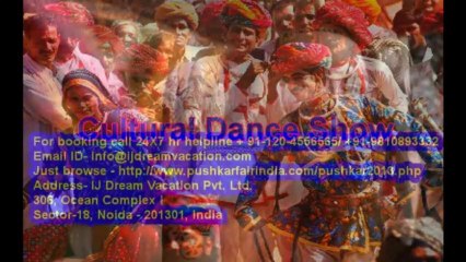 Pushkar Camel Fair 2013