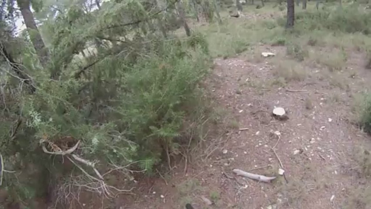 006-partie d'airsoft au vallon de  valtrede  ( octobre 2013)