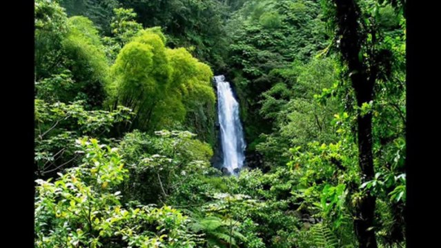 1 SAMUEL CAP 16 - A BIBLIA NA LINGUAGEM DE HOJE