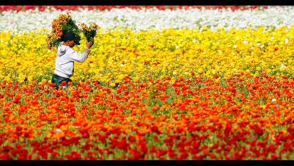 1 SAMUEL CAP 20 - A BIBLIA NA LINGUAGEM DE HOJE