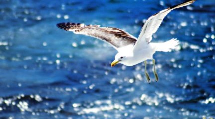 SOKAK LAMBASI 2013 ( KİMLİKSİZ GECELERDE)