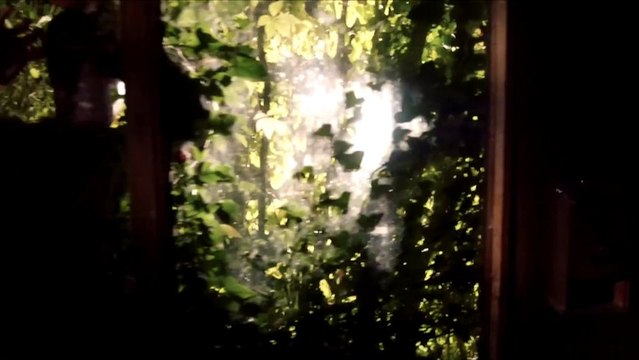 ★ HALLOWEEN PARTY ★ by Soirée FERIAUD