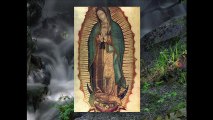 El mensaje jeroglífico en la tilma de Guadalupe para los indios mexicanos | vaticanocatolico.com