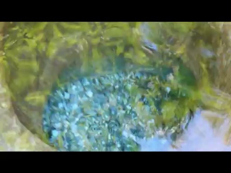 Adam in the Spring of Kokkino Nero  (Ο Αδάμ στη πηγή  Κόκκινο Νερό)