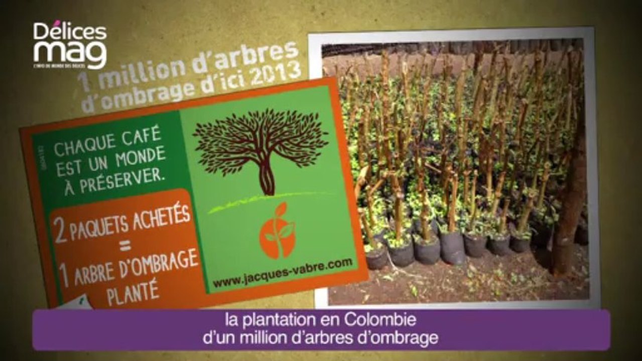 CULTURE MARQUE
