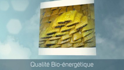 Patisserie Orientale en Ligne - Makroudh Abou Sofiene