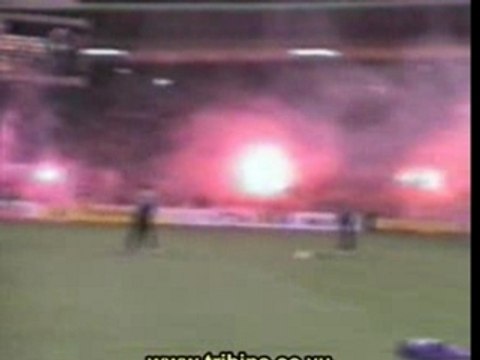 ultras hools serbia red star belgrade