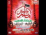 Rizvia Party - Matam e Shabbir(as) Rizvia Party Album 13 (2013-14)...