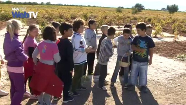 Το ταξίδι της μεταμόρφωσης του σταφυλιού σε κρασί μέσα από τα μάτια των παιδιών