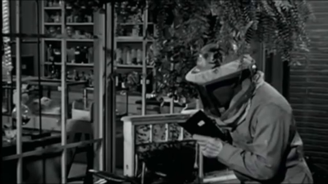 LA FEMME GUEPE VF.mpg