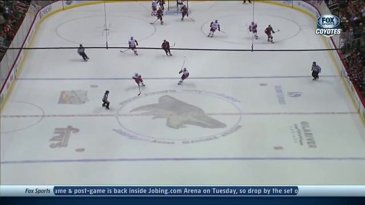 Phoenix Coyotes goaltender Mike Smith scores a goal