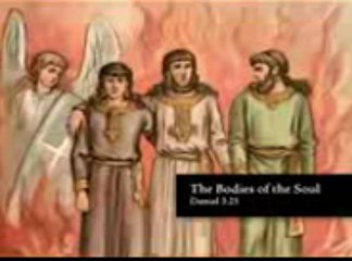 월드바카라 W L D 7 6 .ＣＯＭ 플레이텍