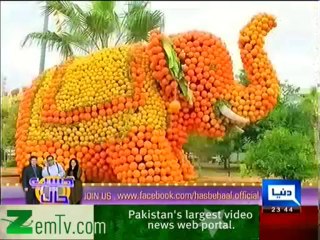 Hasb e haal -- 26th April 2012 p4