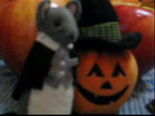 How Happy We Will Be by Billy J Bryan & The Ax Grinders / written by Robert Segarra