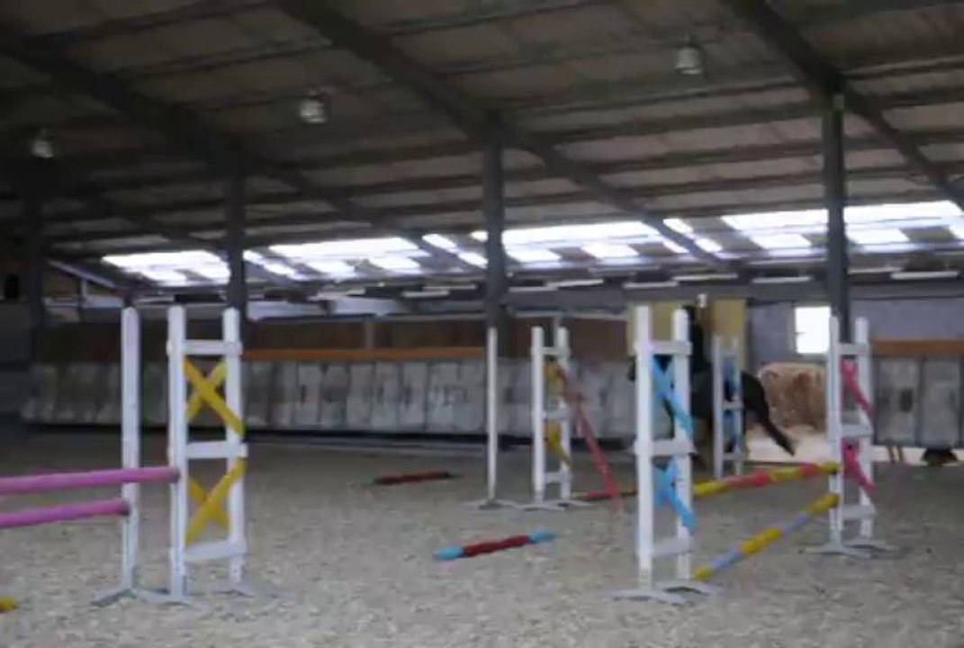 Alto 2 ème seance de saut monté