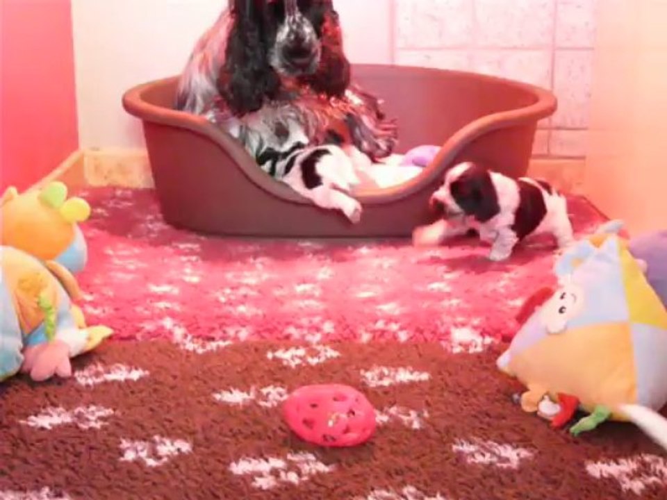 Laly x Ferrero , 4 semaines