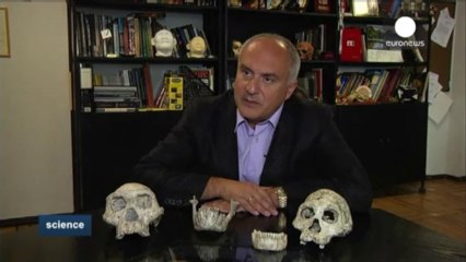 Evolution theory shaken by new skull find