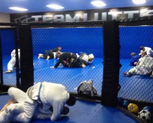 Your Guide To Surviving You First Year As A White Belt!