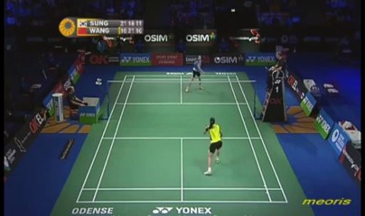 Finals - WS - Sung Ji Hyun vs Wang Yihan - 2013 Yonex Denmark Open ~ Part 2