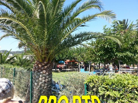 PRO BTP HYERES RESTO PLAGE VACANCES 2013