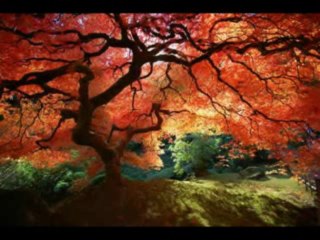 1 SAMUEL  CAP 29 - A BIBLIA NA LINGUAGEM DE HOJE