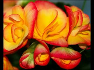 2 SAMUEL CAP 3 - A BIBLIA NA LINGUAGEM DE HOJE